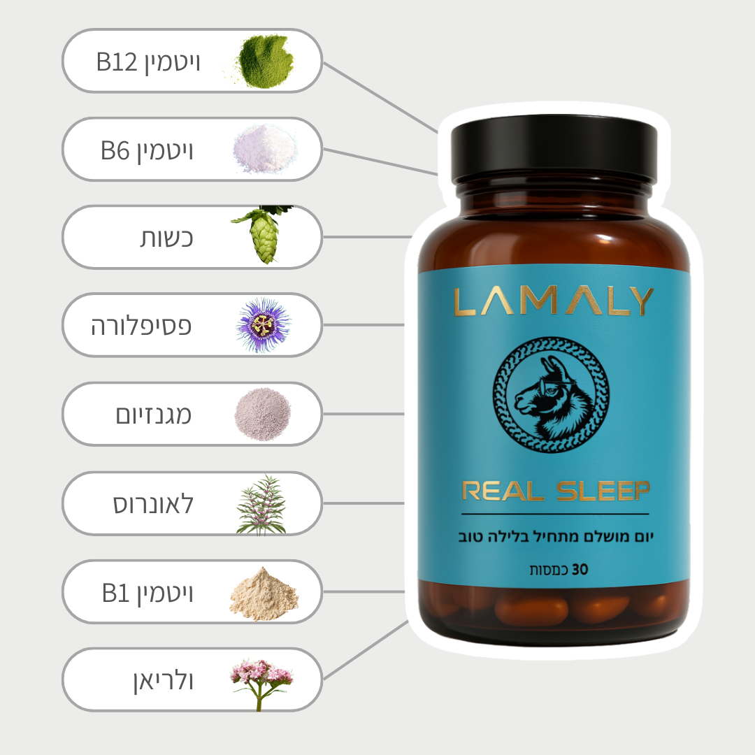 שינה אמיתית