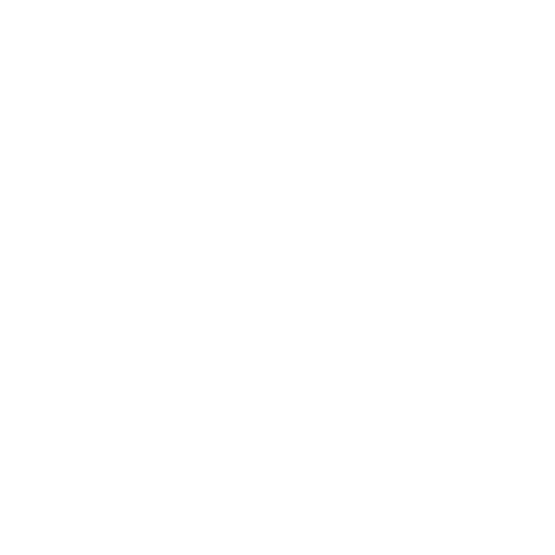 feature-item-1